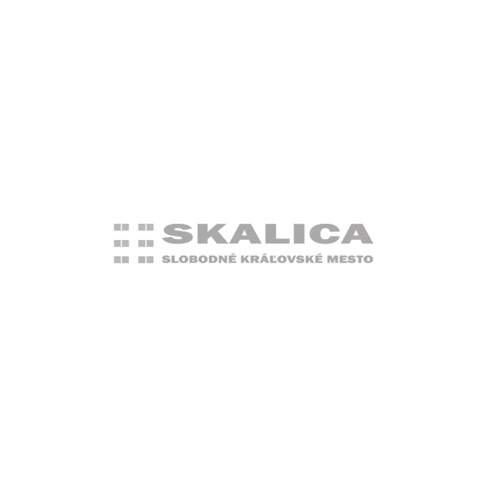 Mesto Skalica Mesto Skalica Odoo reference